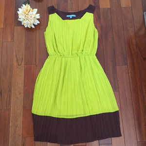 Antonio Melani Lime Green & Brown Sheer Dress